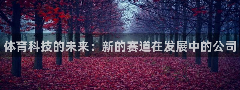 体育科技的未来：新的赛道在发展中的公司