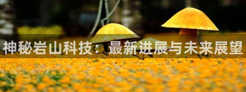 神秘岩山科技：最新进展与未来展望