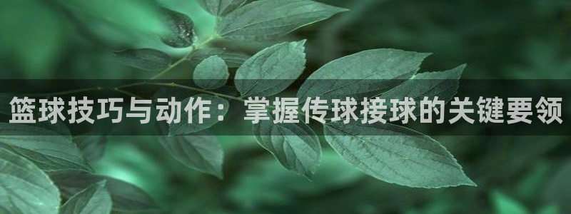 篮球技巧与动作：掌握传球接球的关键要领