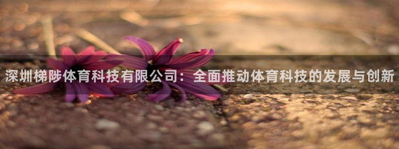 深圳梯陟体育科技有限公司：全面推动体育科技的发展与创新