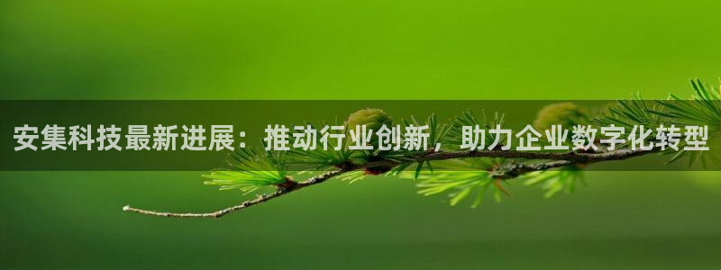 安集科技最新进展：推动行业创新，助力企业数字化转型