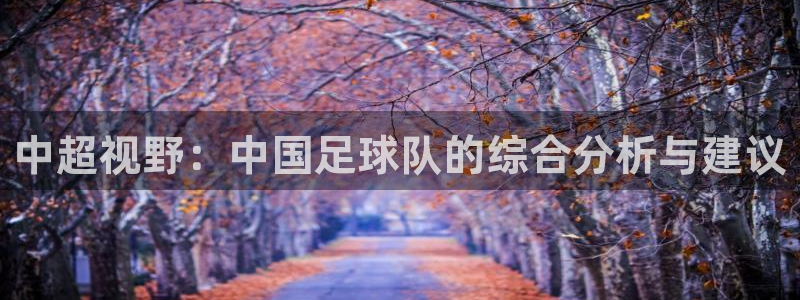中超视野：中国足球队的综合分析与建议