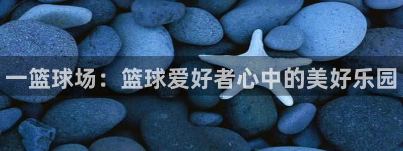 一篮球场：篮球爱好者心中的美好乐园