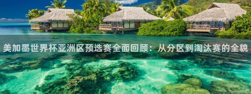 美加墨世界杯亚洲区预选赛全面回顾：从分区到淘汰赛的全貌