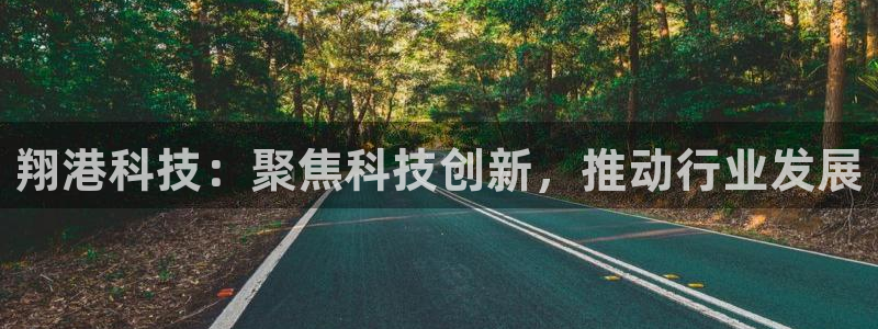 翔港科技：聚焦科技创新，推动行业发展