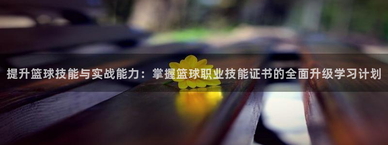 提升篮球技能与实战能力：掌握篮球职业技能证书的全面升级学习计划