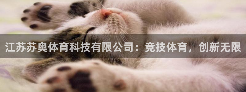 江苏苏奥体育科技有限公司：竞技体育，创新无限