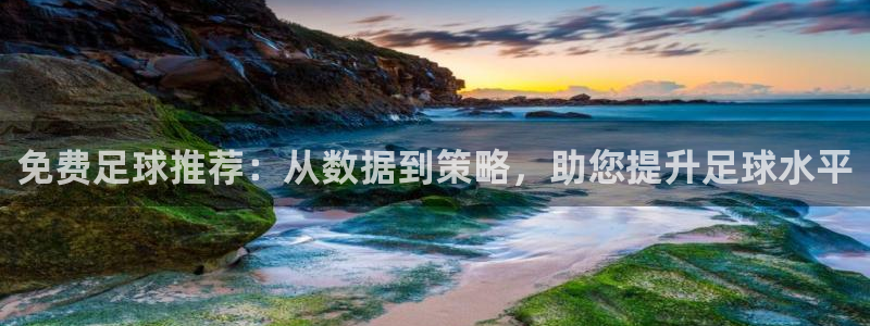 免费足球推荐：从数据到策略，助您提升足球水平