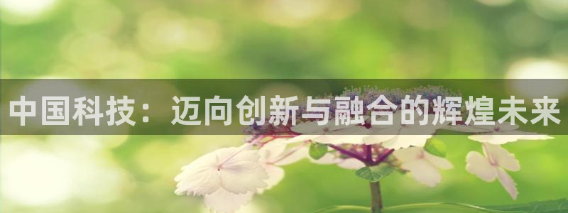 中国科技：迈向创新与融合的辉煌未来