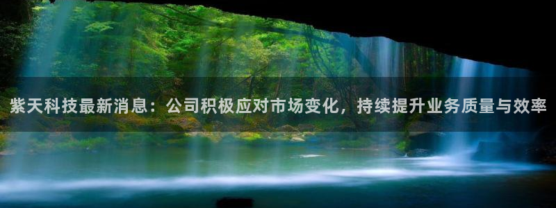紫天科技最新消息：公司积极应对市场变化，持续提升业务质量与效率