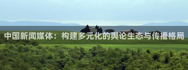 中国新闻媒体：构建多元化的舆论生态与传播格局