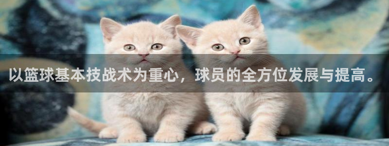 以篮球基本技战术为重心，球员的全方位发展与提高。