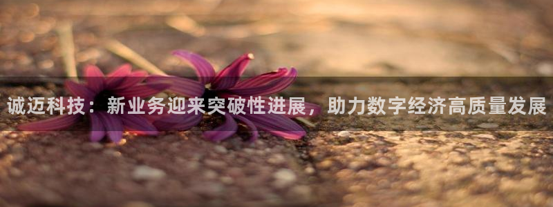 诚迈科技：新业务迎来突破性进展，助力数字经济高质量发展