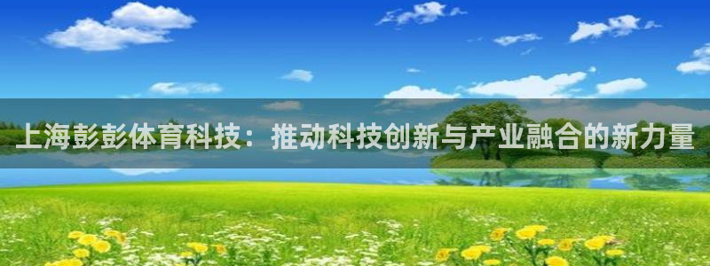 上海彭彭体育科技：推动科技创新与产业融合的新力量