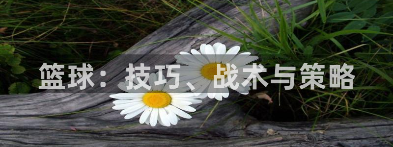 篮球：技巧、战术与策略