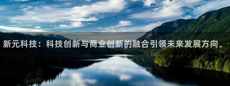 新元科技：科技创新与商业创新的融合引领未来发展方向。