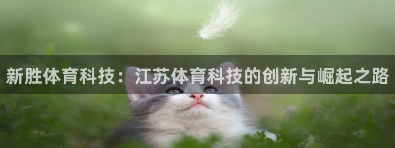 新胜体育科技：江苏体育科技的创新与崛起之路