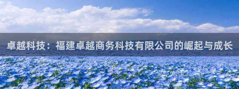卓越科技：福建卓越商务科技有限公司的崛起与成长