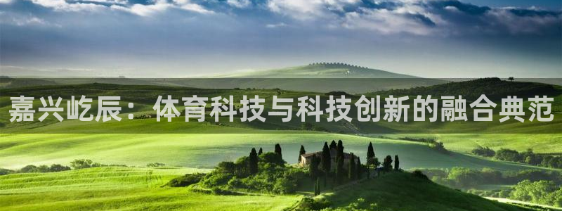 嘉兴屹辰：体育科技与科技创新的融合典范